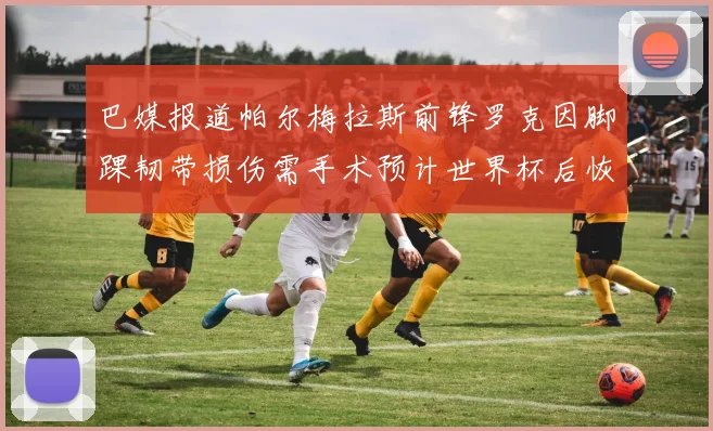 巴媒报道帕尔梅拉斯前锋罗克因脚踝韧带损伤需手术预计世界杯后恢复
