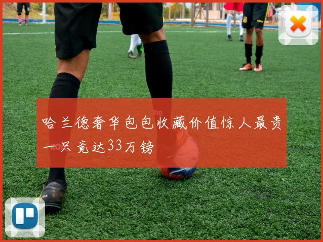 哈兰德奢华包包收藏价值惊人最贵一只竟达33万镑